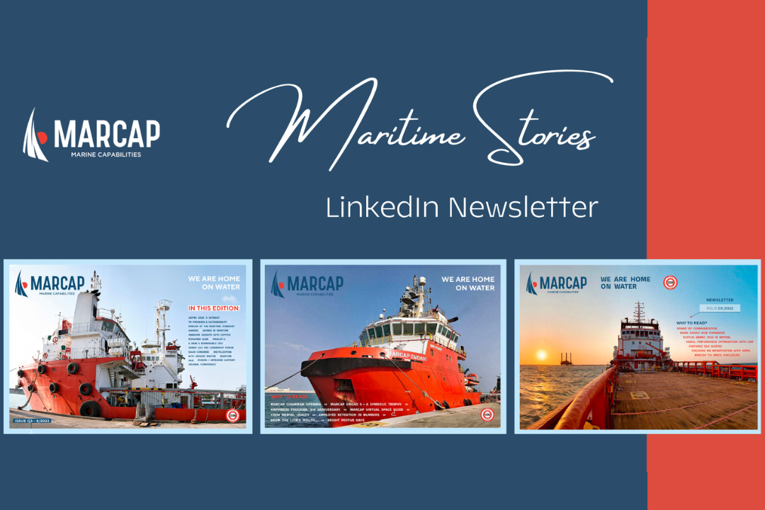 LinkedIn Newsletter Edition